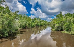 NE Hickory Grove Road, Pinetta, FL 32350
