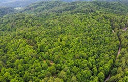 Tbd Long Bow, Galax, VA 24333