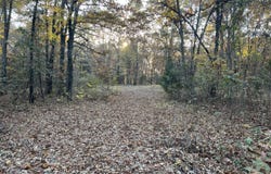 02 County Road 317, Tecumseh, MO 65760