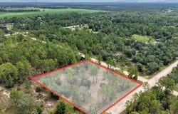 610 134th Ct, Williston, FL 32696