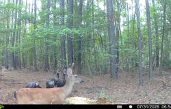 Blazing Trail Rd lot: 4, Timmonsville, SC 29532
