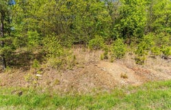 TBD Hwy 71, Mountainburg, AR 72946
