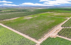 1 Davis, Laton, CA 93242