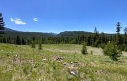 Lagger Gulch Road, Anaconda, MT 59711