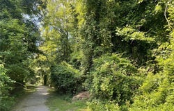 606 S James Street, Ashland, VA 23005