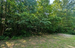 Cheyenne Drive Lot 12 & 13, Jamestown, TN 38556