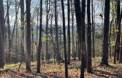 TRACT 1B CHALCREST Way, Cave Spring, GA 30124