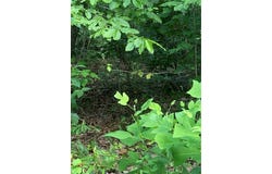 Windtree Ridge Road, Pickens, SC 29671