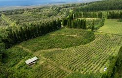 Pahala, HI 96777