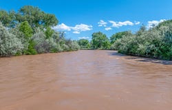 477 County Road 142, Medanales, NM 87548