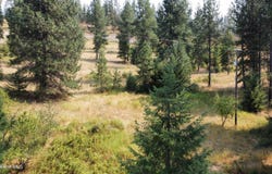 24124 S Highway 3, Cataldo, ID 83810
