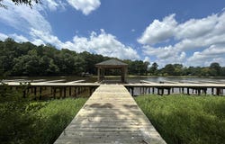 6606 Annabella Road, Rocky Mount, NC 27803