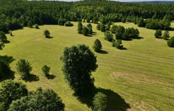 0 Hwy 145, Shelby, AL 35143