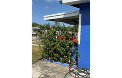 2246 Mcclellan St, Hollywood, FL 33020