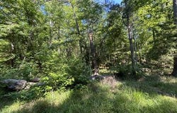 Parker Road, Crosby, MS 39633