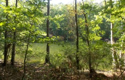 13 RIVERVIEW CT, Lincolnton, GA 30817