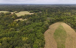 6040 E HIGHWAY 28, PINE APPLE, AL 36768