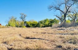 1829 Mallard Drive, Central City, NE 68826
