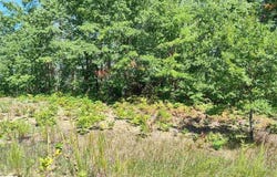 TBD N Circle E, Farwell, MI 48622