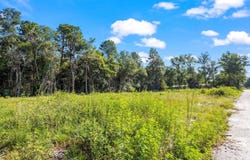 000 Walker Avenue SE, New Ellenton, SC 29809
