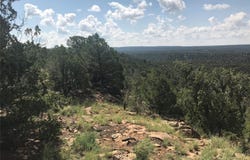 Glorieta Mesa, Ilfeld, NM 87535