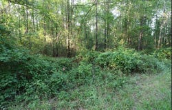 0 Kings Mill Road Tract A, Wrens, GA 30833