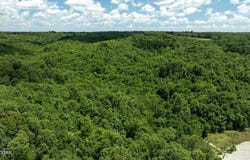 71.9 Acres Sugar Valley Circle, Pineville, MO 64856