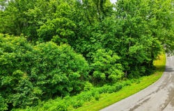 Mountain Perkins Lane, Jacksboro, TN 37757