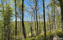 Orchard View Trail, Spruce Pine, NC 28777