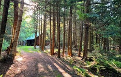 00 White Pine Lane/pvt, Pitcairn, NY 13648