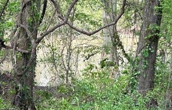 Humphrey, AR 72073-0000
