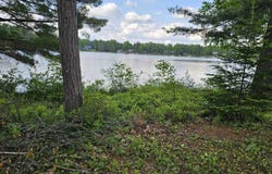 lot 12 Paradise Drive, South Branch, MI 48761