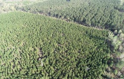 10-19-11 Dollar Junction Rd, Huttig, AR 71747