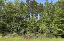 Panther Run Trail, Greenbrier, AR 72058