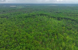 V/L 10.09a E Abermanis Trail, Luther, MI 49656
