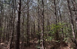 Turnpike Rd, Bohannon, VA 23109