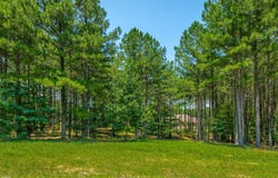 River Bluffs Drive lot: Rb74, Jasper, TN 37347