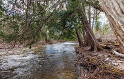 8993 S Straits Highway, Wolverine, MI 49799