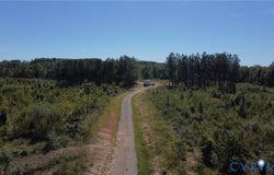 27286 Prince Edward Highway, Rice, VA 23966