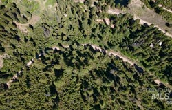 Forest Service Rd 542, Lowman, ID 83637