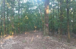 Burnham Mountai E HWY 8 E, Glenwood, AR 71943