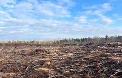 Chipley Road, Greenwood, SC 29646