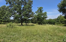 16686 Spruce Drive, Neosho, MO 64850