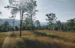 0 Burten Hill Road, Mountain View, AR 72560