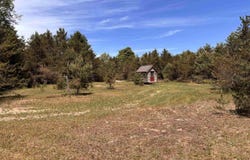 99 Pine Tree Lane, Beulah, MI 49617