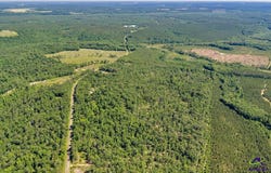 Parcel 1 Everett Wood Road, Oglethorpe, GA 31068