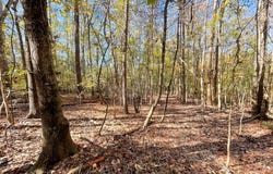 14-16 Audubon, Ware Shoals, SC 29692