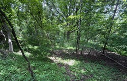 5.74 Acres Bailey Cemetary Rd, Tazewell, TN 37879