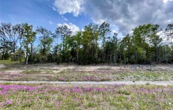 NE HIGHWAY 27 ALT, WILLISTON, FL 32696