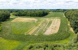 3796 Par B Hoyt Road, Belding, MI 48809